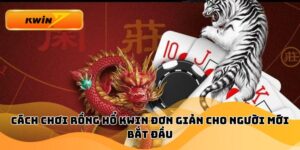 Cách Chơi Rồng Hổ Kwin Đơn Giản Cho Người Mới Bắt Đầu