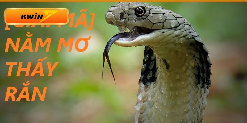 Giải mã giấc mơ thấy rắn