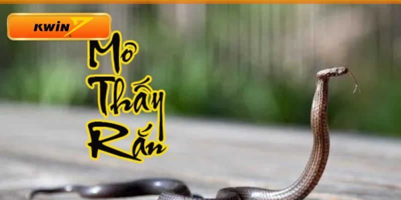 Đánh đề con gì khi chiêm bao thấy rắn