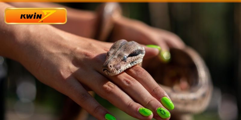 Lưu ý khi chốt số lô đề theo giấc mơ